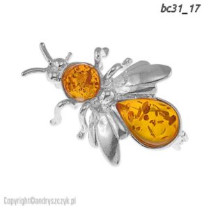 BC_03 18