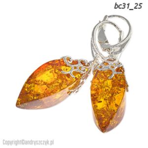 BC_03 26